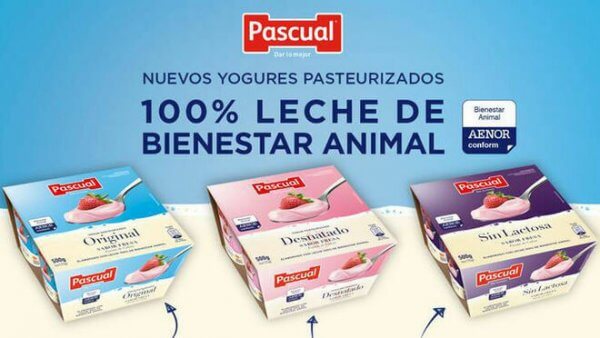 Posicionamiento-basado-atributo-600x338 pascual