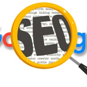 libros de SEO HADOQ