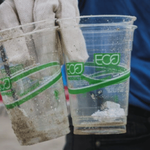 Greenwashing