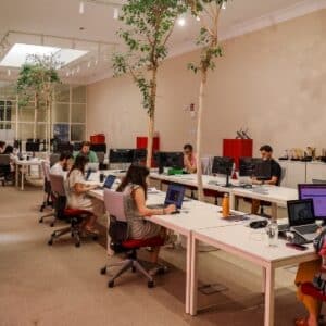 Oficinas de Findasense.