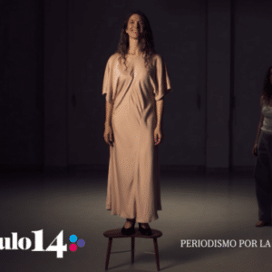 Artículo 14