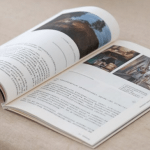 Revistas