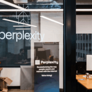 Perplexity