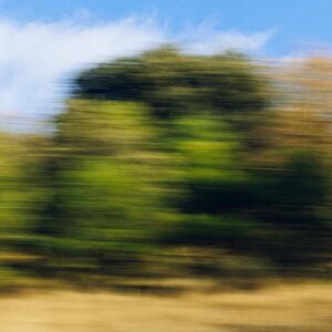BMW captura el placer de conducir en “Moving Landscapes”