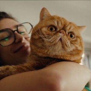 MAPFRE lanza su nueva campaña de seguros de hogar “Vamos donde vas”